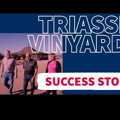 Triassic Vineyards, Tehachapi