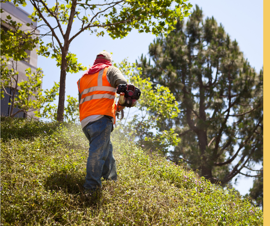 Image of landscaper